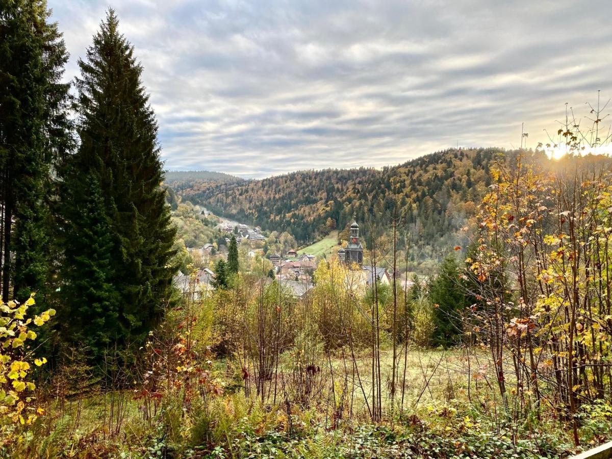 Apartment-Chalet Panorama Todtmoos Exterior photo